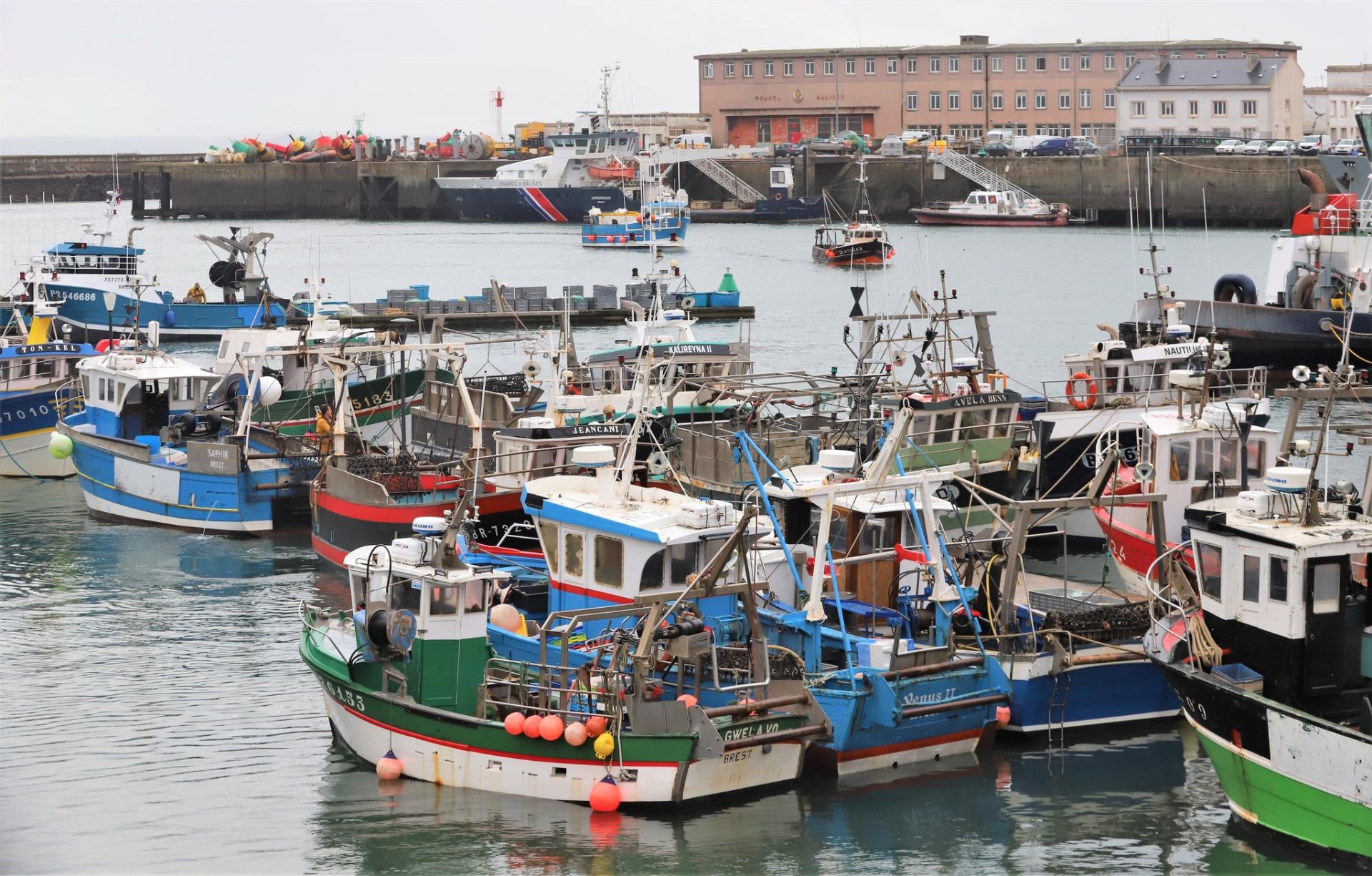 231116 flottille du port de brest campagne coquille laurent cabioch