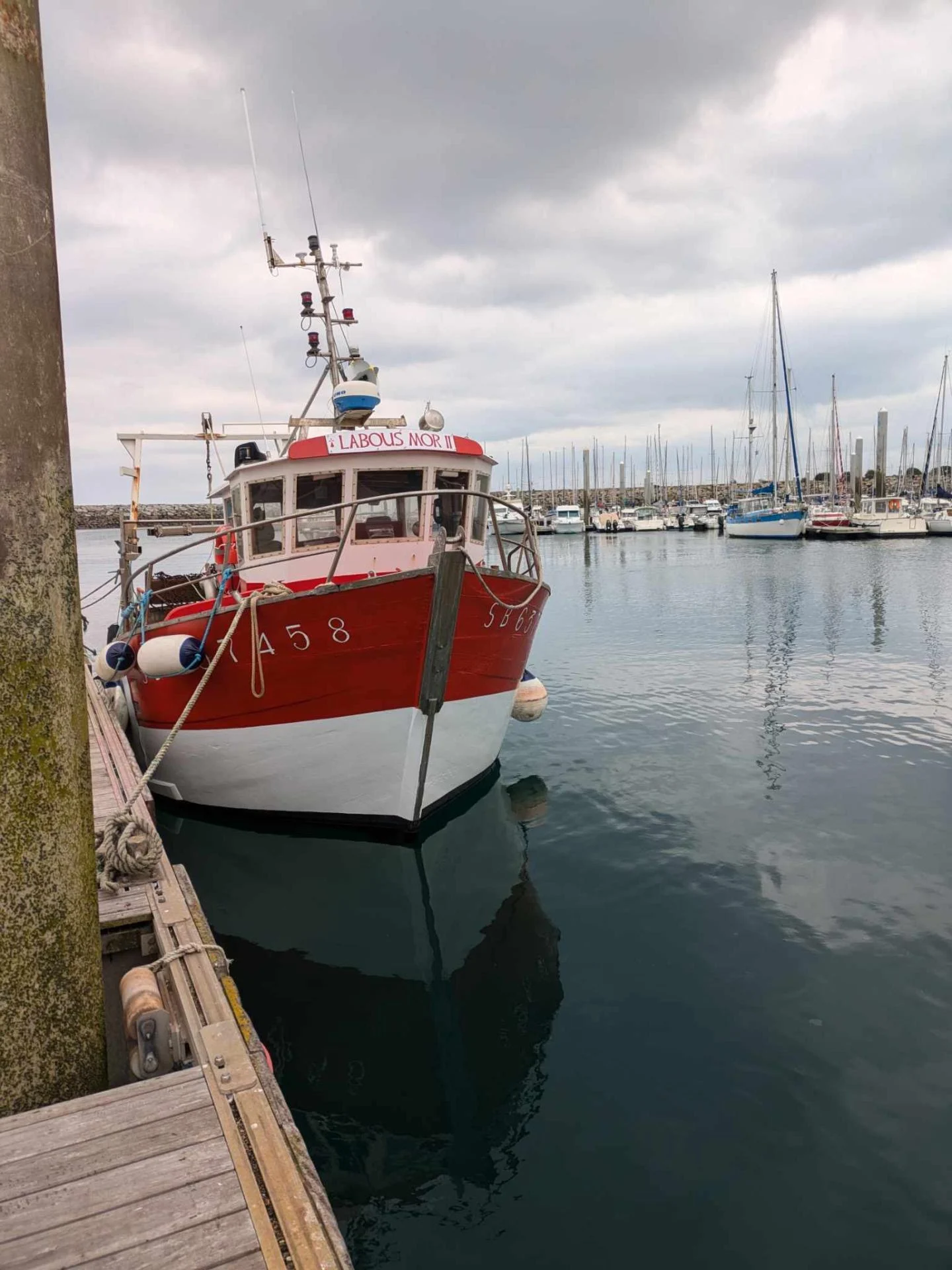 Sb637458 labous mor ii